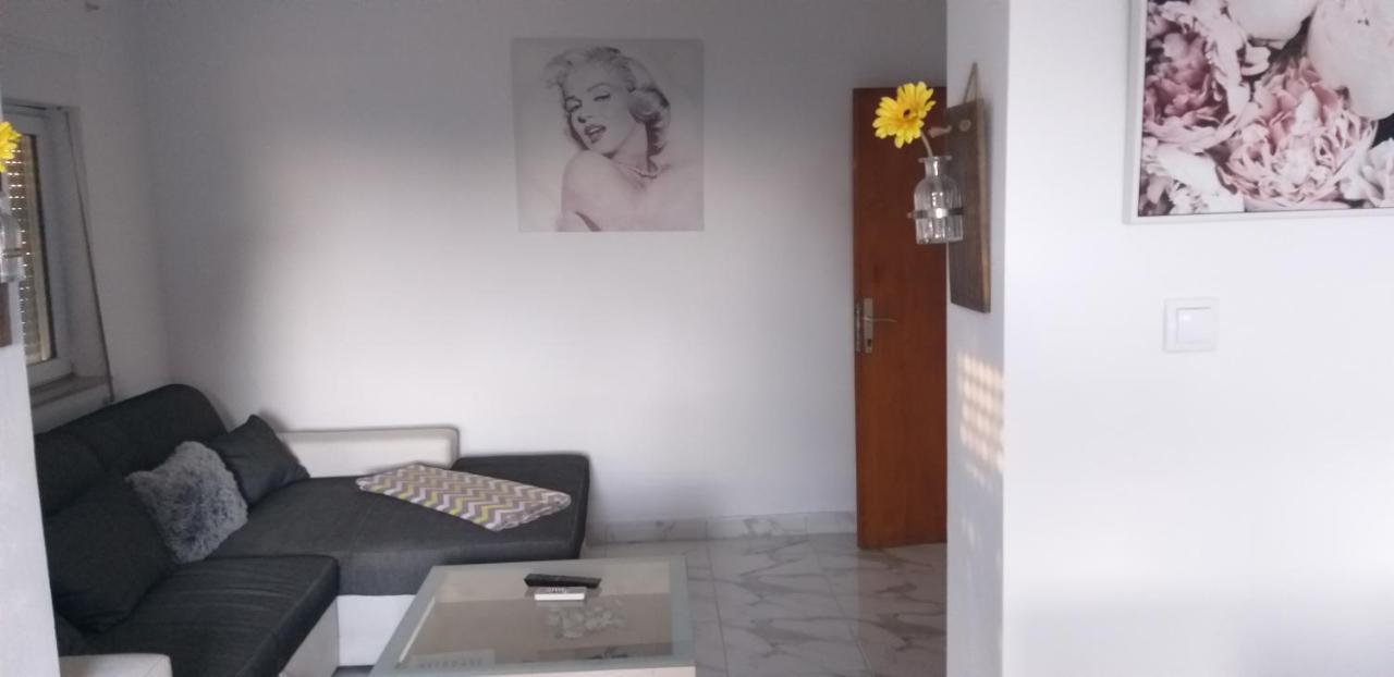 Apartman Zvoncica فرسي المظهر الخارجي الصورة