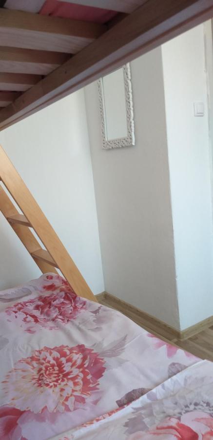 Apartman Zvoncica فرسي المظهر الخارجي الصورة
