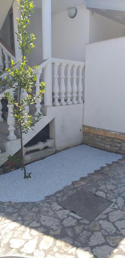 Apartman Zvoncica فرسي المظهر الخارجي الصورة