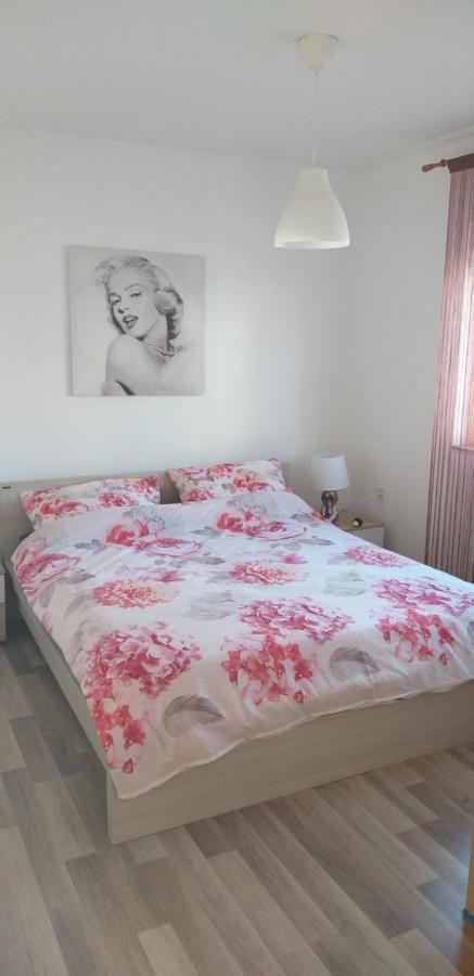 Apartman Zvoncica فرسي المظهر الخارجي الصورة