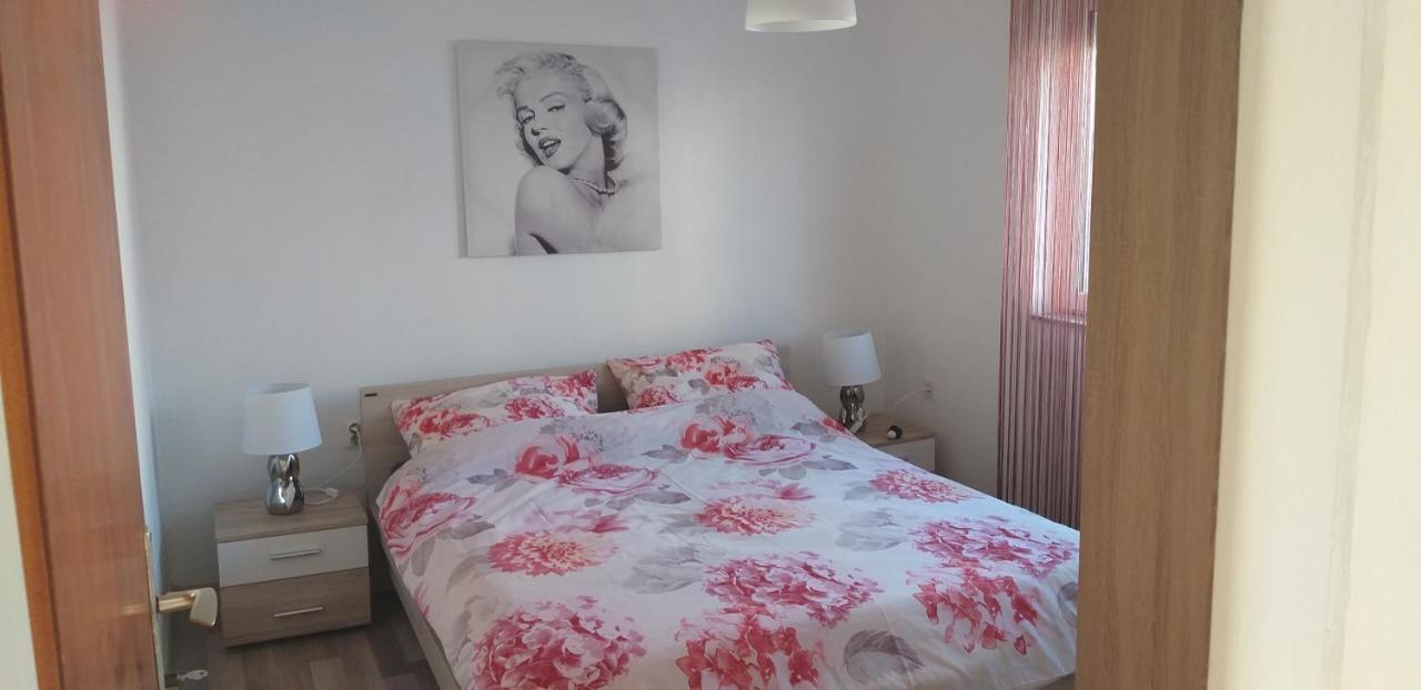 Apartman Zvoncica فرسي المظهر الخارجي الصورة
