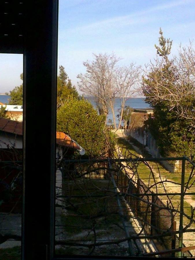 Apartman Zvoncica فرسي المظهر الخارجي الصورة