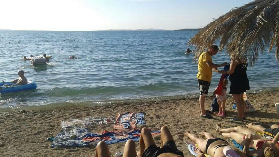 Apartman Zvoncica فرسي المظهر الخارجي الصورة
